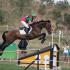 Olympics Eventing: French Grab Olympic Eventing Team Gold